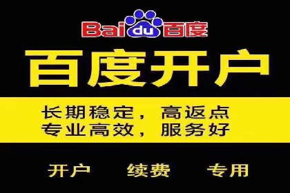 成功案例：竞价推广助力中小企业突破困境